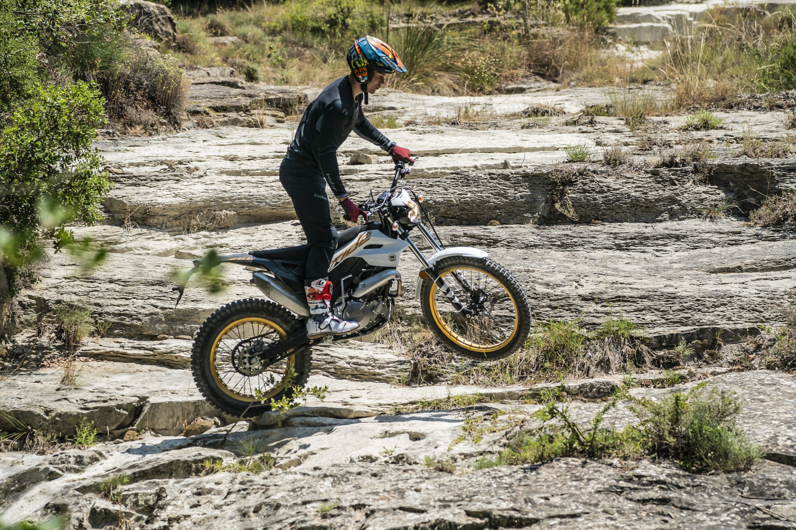 Montesa 4Ride