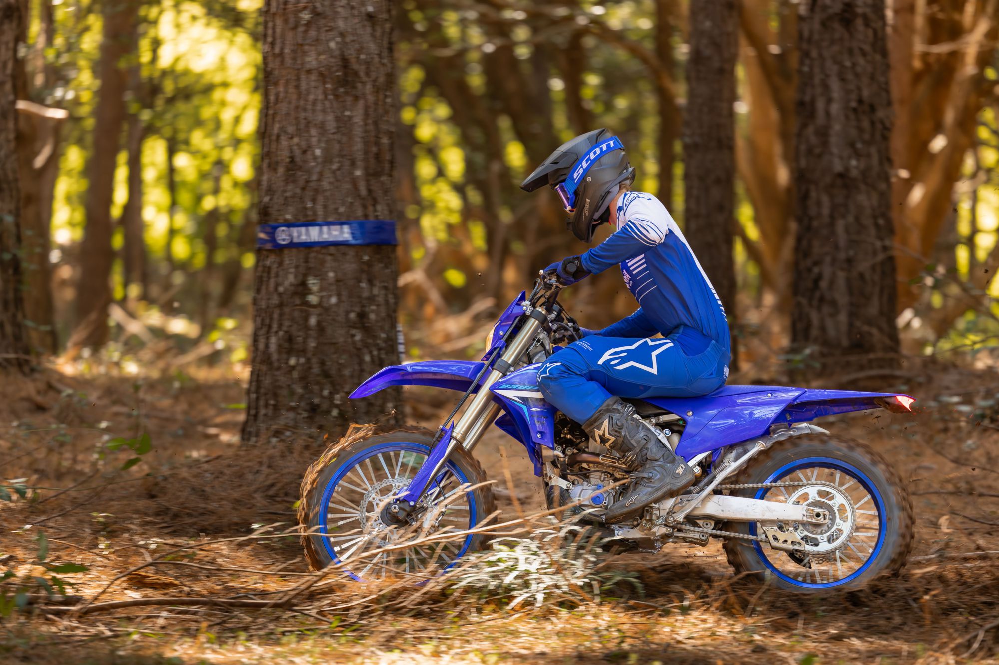 Yamaha WR 250 F