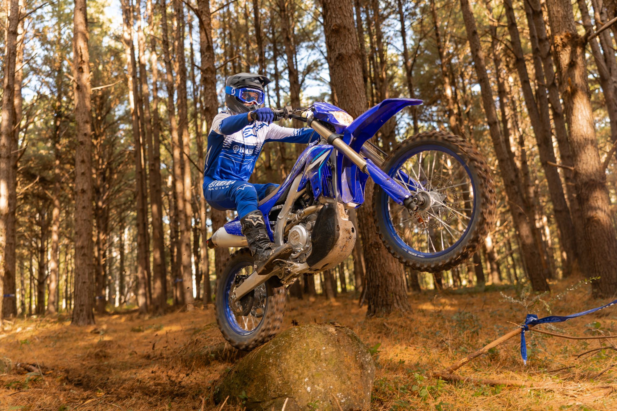Yamaha WR 250 F
