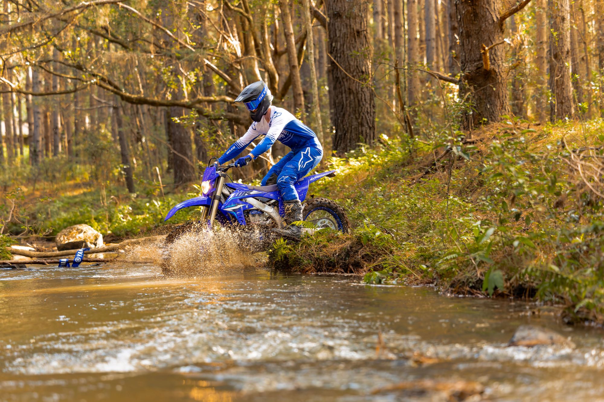 Yamaha WR 250 F