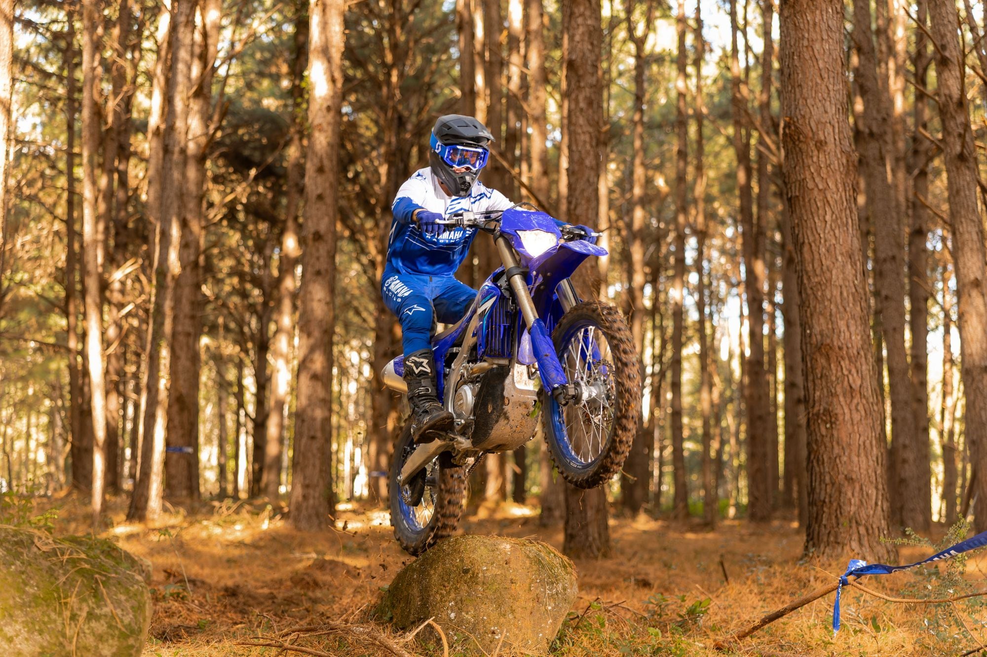 Yamaha WR 450 F