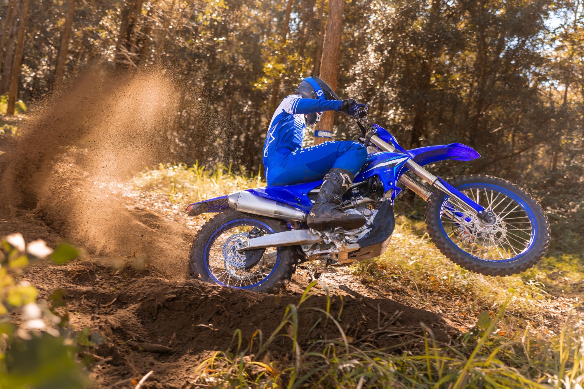 Yamaha WR 450 F