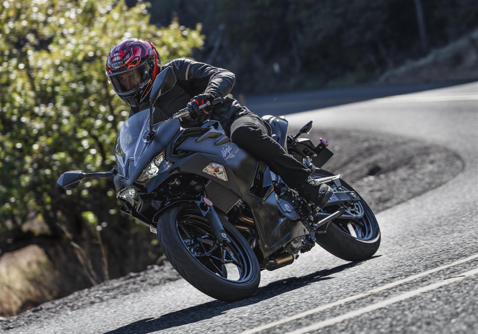 Kawasaki Ninja 500