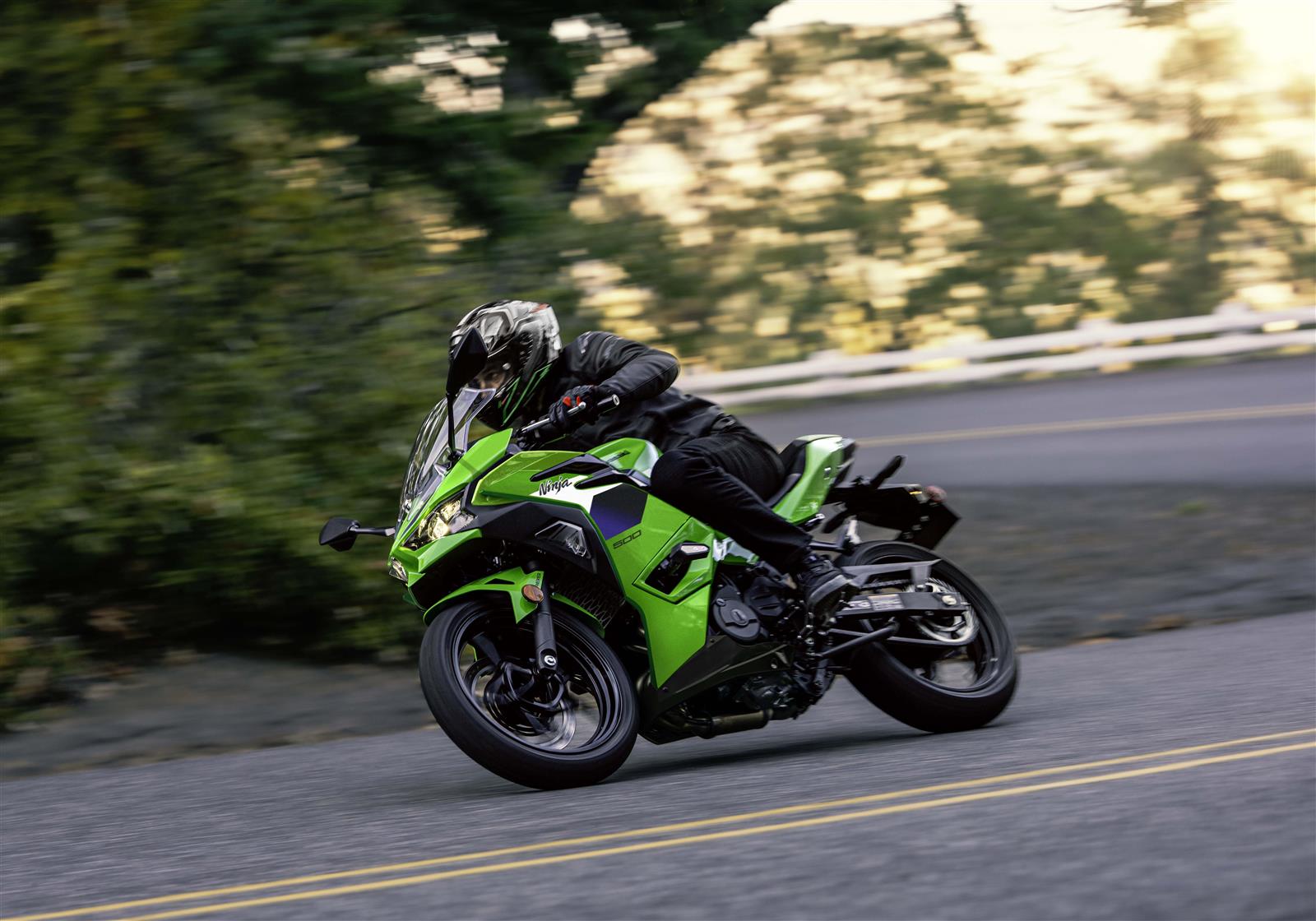 Kawasaki Ninja 500 SE