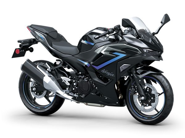 Kawasaki Ninja 500 SE