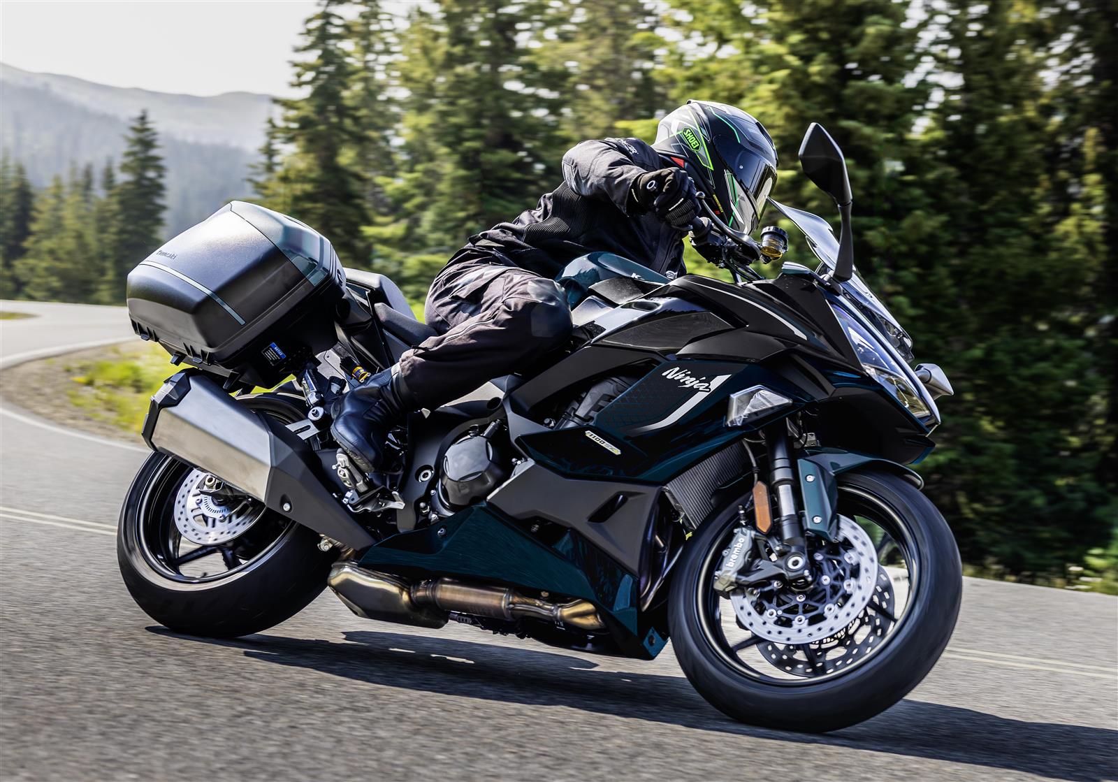 Kawasaki Ninja 1100SX SE