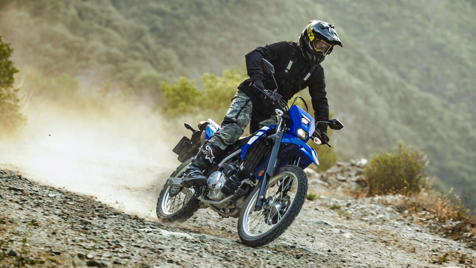 Yamaha WR125R